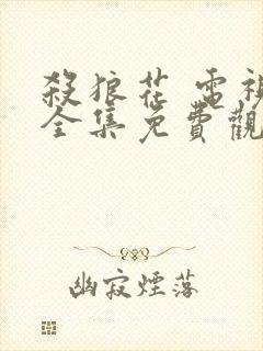 杀狼花 电视剧全集免费观看
