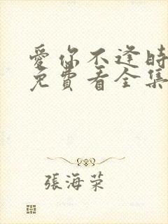 爱你不逢时短剧免费看全集