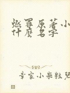 燃罪原著小说叫什么名字