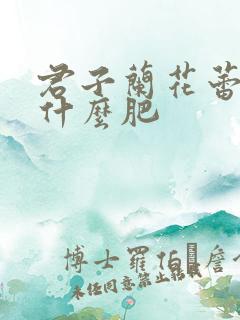 君子兰花蕾期施什么肥 君子兰花蕾期施什么肥