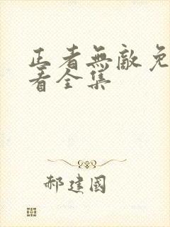 正者无敌免费观看全集