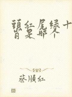 头红尾绿十二生肖是哪个