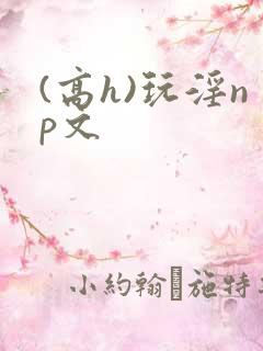 (高h)玩淫np文
