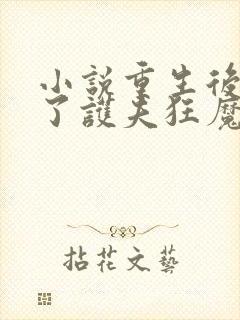 小说重生后我成了护夫狂魔免费