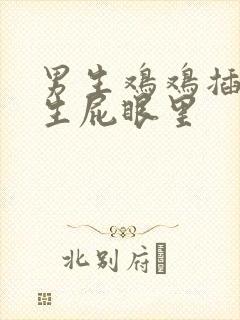 男生鸡鸡插进女生屁眼里