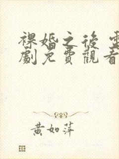 裸婚之后 电视剧免费观看