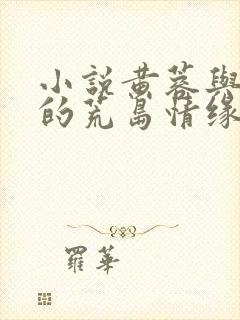 小说黄蓉与杨过的荒岛情缘全文免费阅读 小说黄蓉与杨过的荒岛情缘全文免费阅读