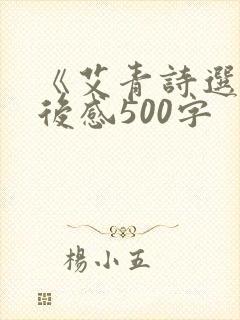 《艾青诗选》读后感500字