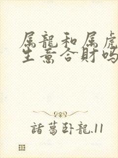 属龙和属虎的做生意合财吗