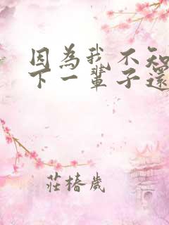 因为我不知道,下一辈子还是否能遇见你歌词 因为我不知道,下一辈子还是否能遇见你歌词