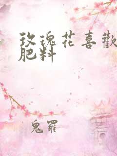 玫瑰花喜欢什么肥料