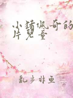 小猪佩奇的动画片儿童