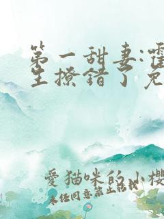 第一甜妻:霍先生撩错了免费阅读全