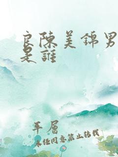 良陈美锦男主角是谁 良陈美锦男主角是谁