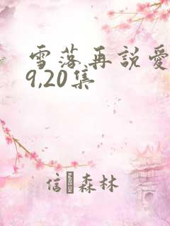 雪落再说爱你19,20集
