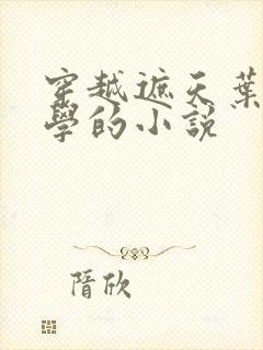穿越遮天叶凡同学的小说