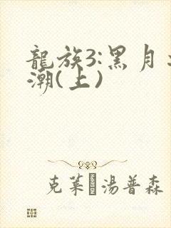 龙族3:黑月之潮(上)