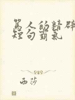 骂人的精辟句子短句霸气