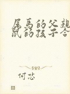 属马的父亲和属鼠的孩子合不合