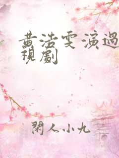 黄浩雯演过的电视剧