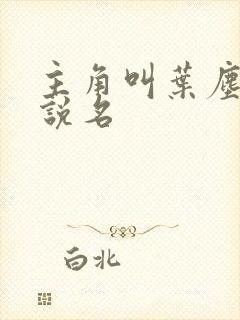 主角叫叶尘的小说名 主角叫叶尘的小说名