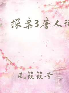 探案3唐人街 探案3唐人街