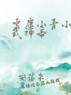 云尘小青小说天武神帝 云尘小青小说天武神帝