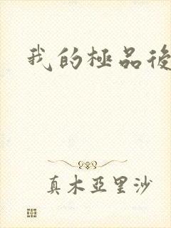 我的极品后妈