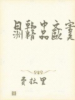 日韩中文字幕亚洲精品欧美人妻在线