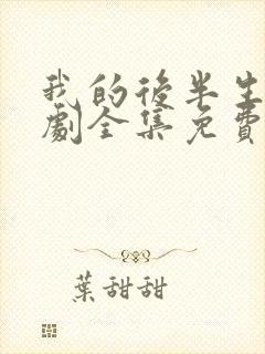 我的后半生电视剧全集免费播放 我的后半生电视剧全集免费播放