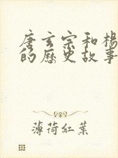 唐玄宗和杨贵妃的历史故事