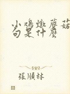 小鸡炖蘑菇前一句是什么