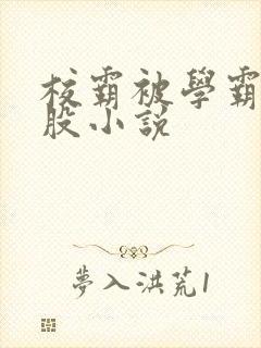 校霸被学霸打屁股小说