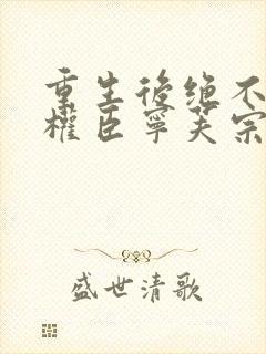 重生后绝不嫁给权臣宁芙宗肆全文小说