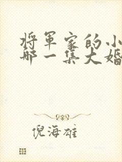 将军家的小娘子哪一集大婚