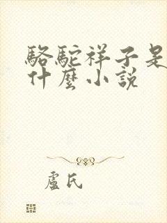 骆驼祥子是一本什么小说
