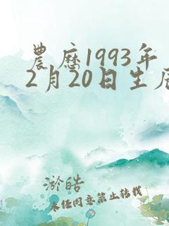 农历1993年2月20日生辰八字