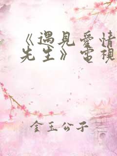《遇见爱情的利先生》电视剧
