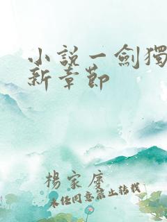 小说一剑独尊最新章节 小说一剑独尊最新章节