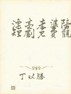 漂亮老婆陪过年短剧免费观看完整版