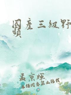 国产三级野战视频