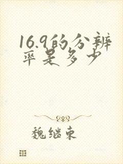 16.9的分辨率是多少 16.9的分辨率是多少