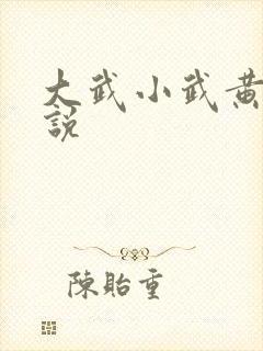 大武小武黄蓉小说