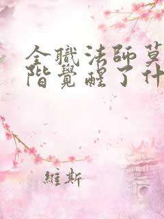 全职法师莫凡高阶觉醒了什么系