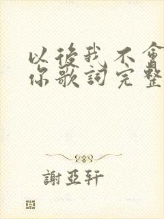 以后我不会再爱你歌词完整版