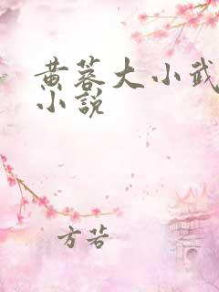 黄蓉大小武外传小说