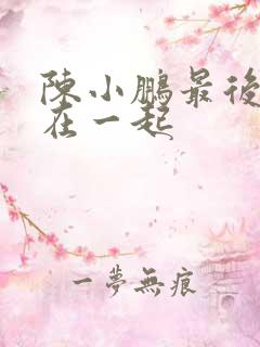 陈小鹏最后和谁在一起