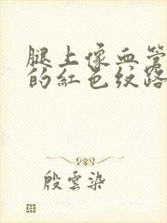 腿上像血管一样的红色纹路