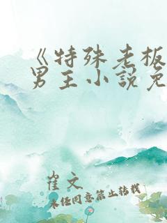 《特殊老板》双男主小说免费阅读