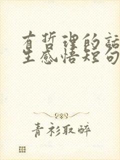 有哲理的话语人生感悟短句 有哲理的话语人生感悟短句